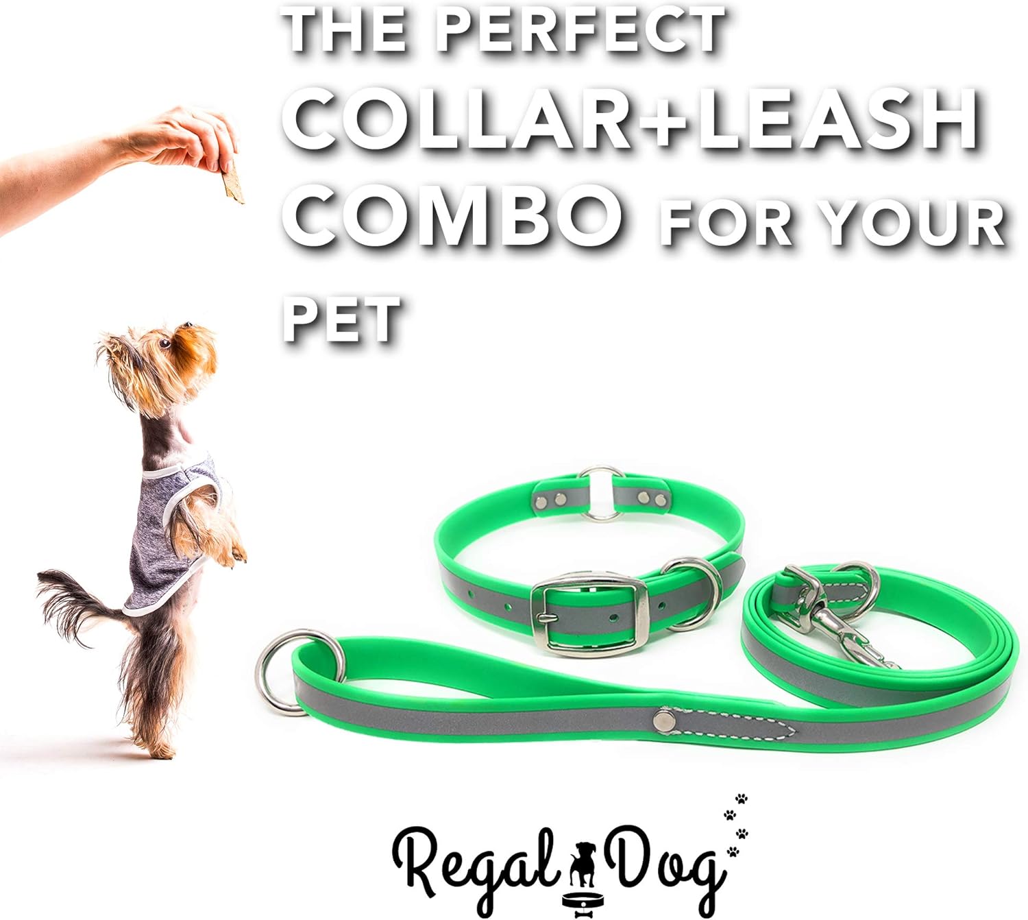 Regal Dog Products Large Green Reflective Dog Collar and Leash Set - Waterproof Biothane Dog Collar with Heavy Duty D Ring, Center Ring & 5'ft Leash for Training - Other Sizes for Small & Medium Dogs
