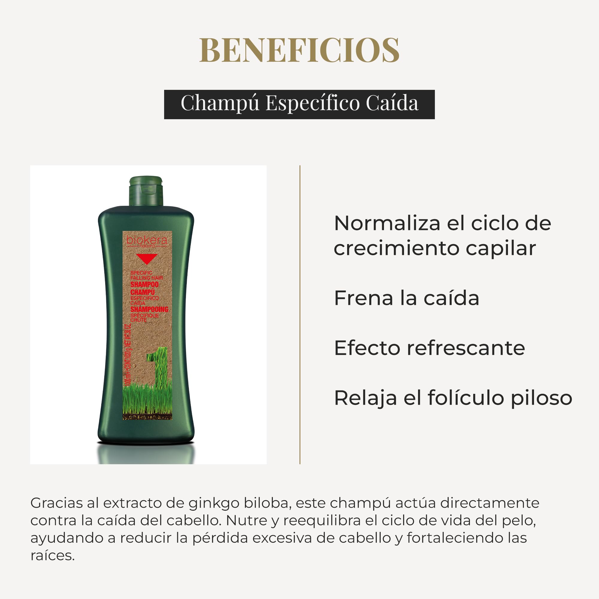 SALERM - Champú Anticaída - Biokera Natura Champú Específico Caída - 1000 ml - con Ginseng y Ginkgo Biloba - Normaliza el Ciclo de Crecimiento Capilar - Frena la Caída - Efecto Refrescante
