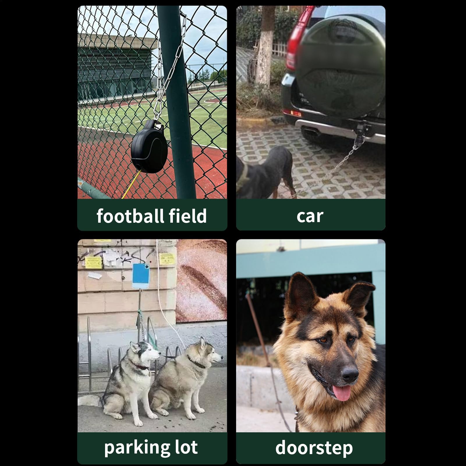 Correa Extensible Canina Entrenamiento De Mascotas Resistente | Soporte De Pared De Correa Retráctil Para Caminar Correr Senderismo Playa Patio Trasero Patio Interior Y Actividades
