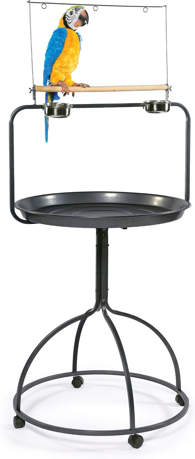 Prevue Hendryx 3183 Parrot Playstand, Round,Black,30'L x 28'W x 66 1/2'H with a 28' diameter pan