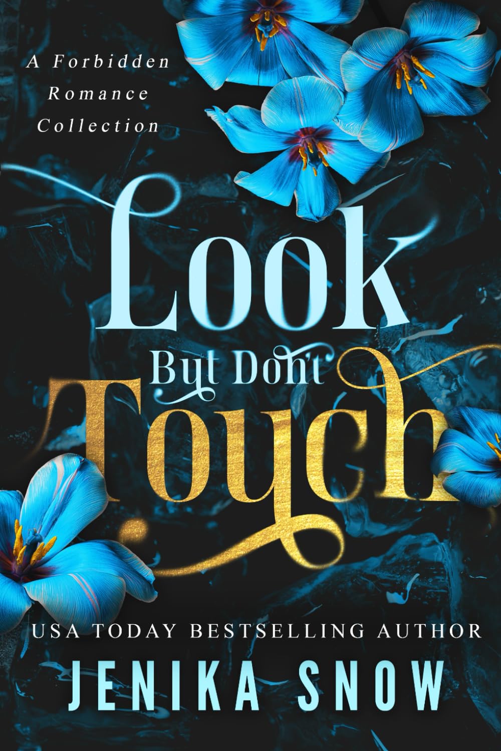 Look But Don’t Touch: A Forbidden Romance Collection (Give Me Collection)