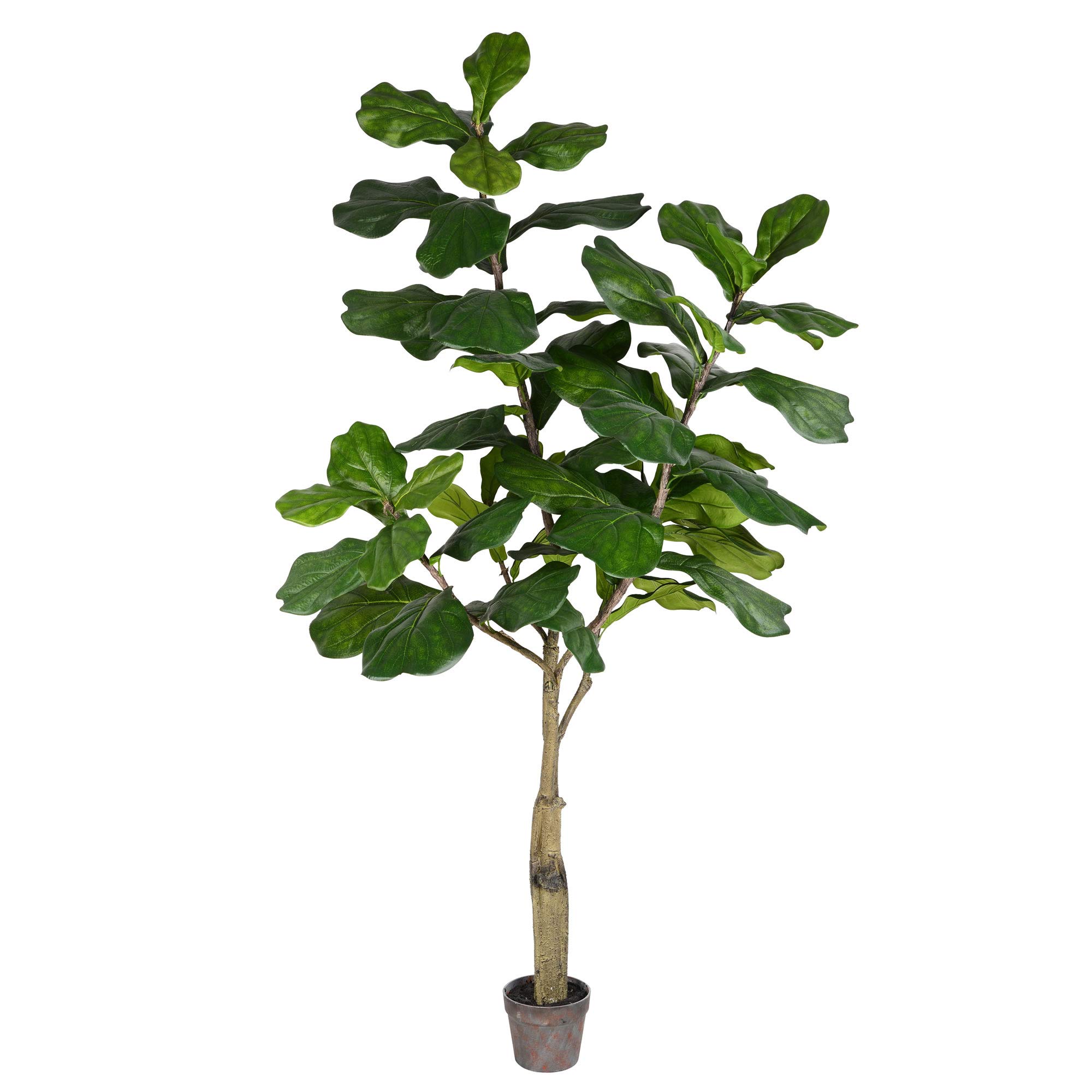 Vickerman Everyday Faux Fiddle Leaf Fig Tree 6ft Tall Green Silk Artificial Indoor Fiddle Plant With