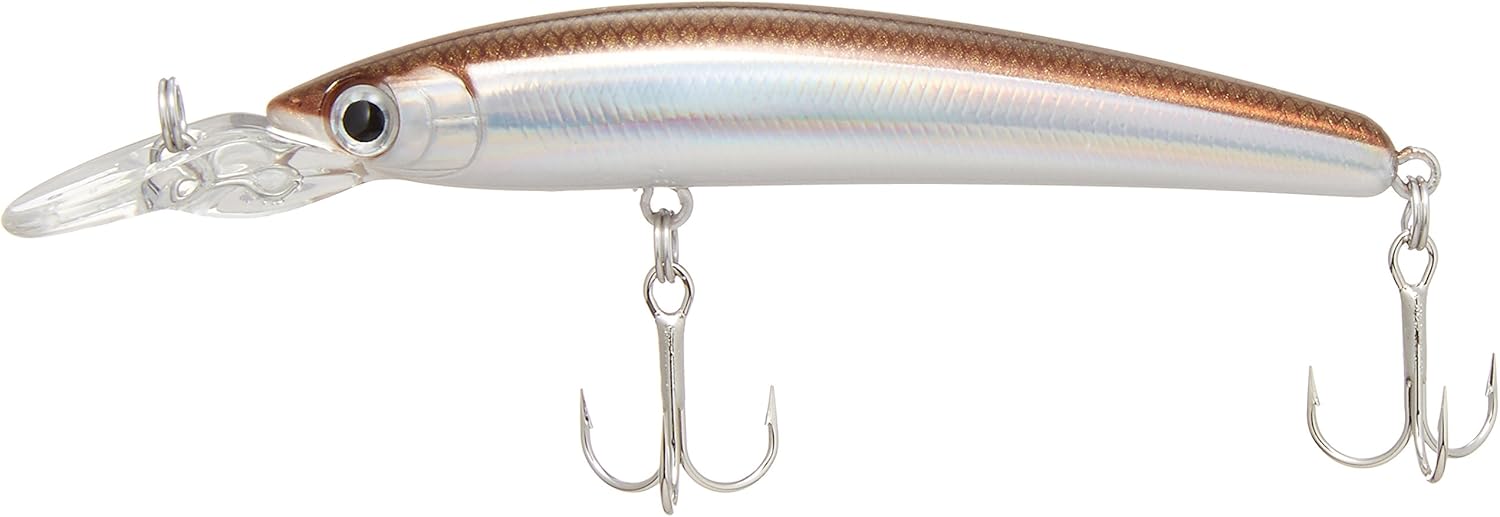 SMITH LTD Minnow DD Punish, F, 2.6 inches (65 mm), 0.13 oz (3.5 g), Laser Wakasagi #25