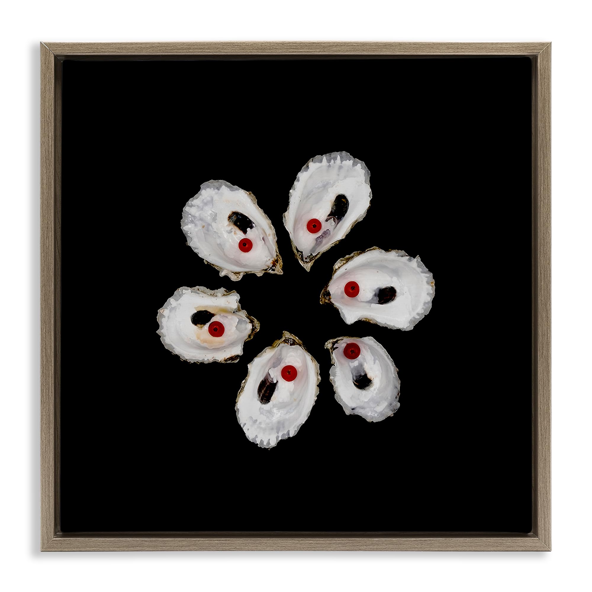 Stupell Industries Montalcino Elm (Textured) 'Oyster Shells Symmetry'| Floating Frame Canvas Art
