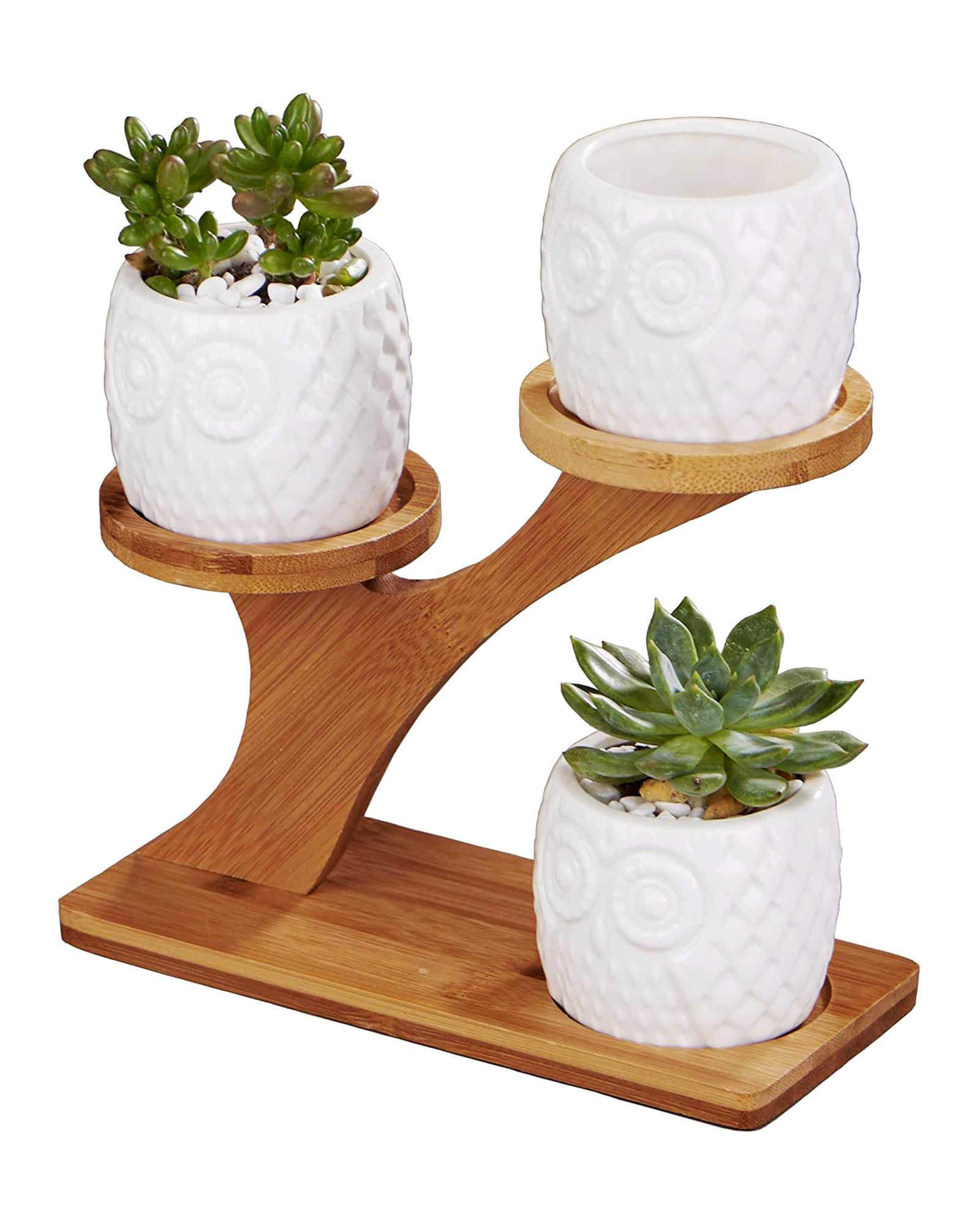 FLOWERPLUS Planter Pots Indoor, 3 Pack 3 Inch White Ceramic Decorative Small Owl Succulent Cactus Flower Plant Pot with Tree Tier Bamboo Stand for Garden Kitchen Home Office Desk Decorations