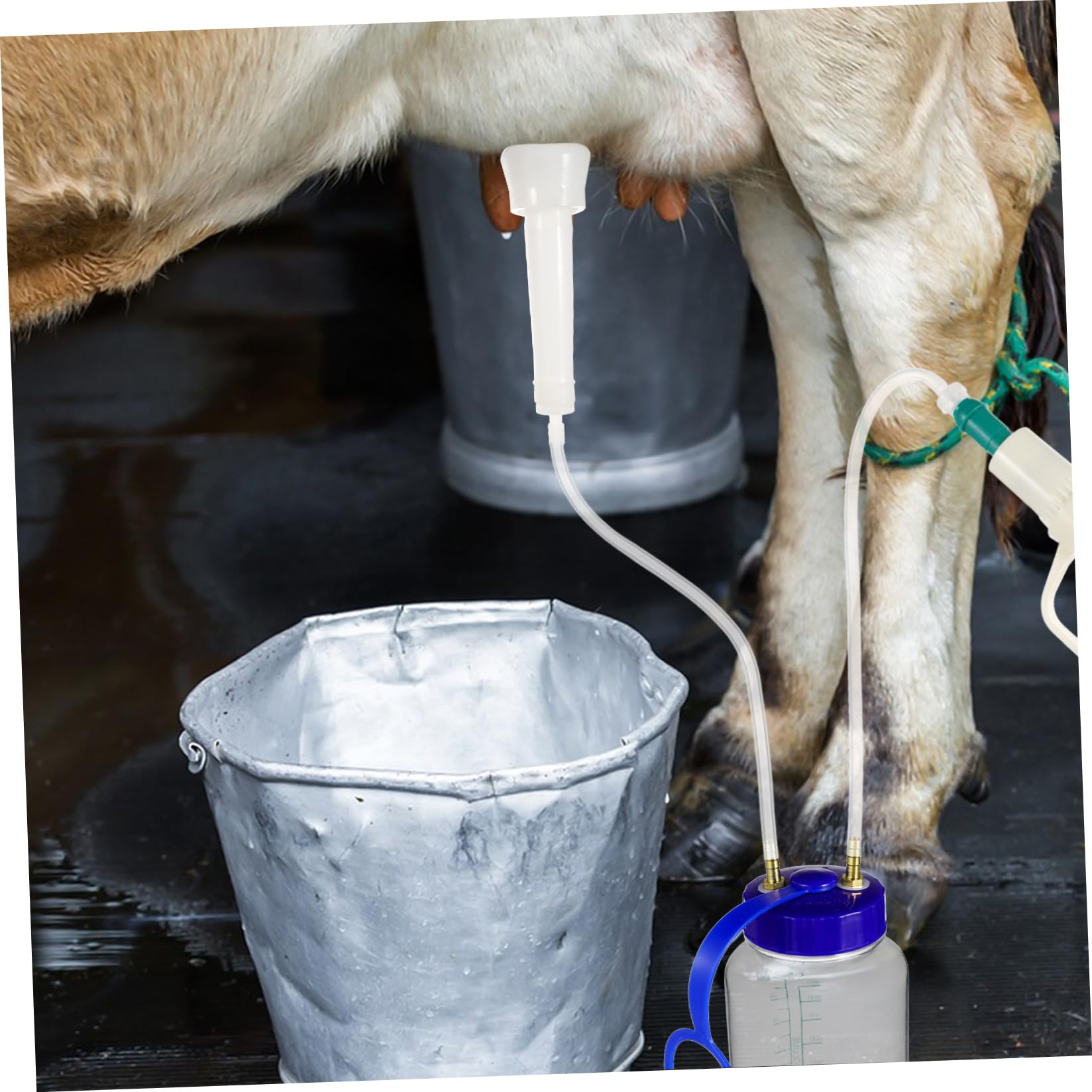 Macchina in Plastica per Mungitura Manuale Portatile Spazzola di Pulizia in Acciaio e Bottiglia per Mucche e Pecore Adatta per Aziende Agricole