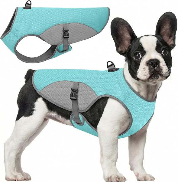 Dog Cooling Jacket for Large Dogs, Pet Cooling Vest with Mesh and D Ring, Dog Reflective Stripe Cooler Jacket for Beach, Hiking, Walking, Blue-L - 1