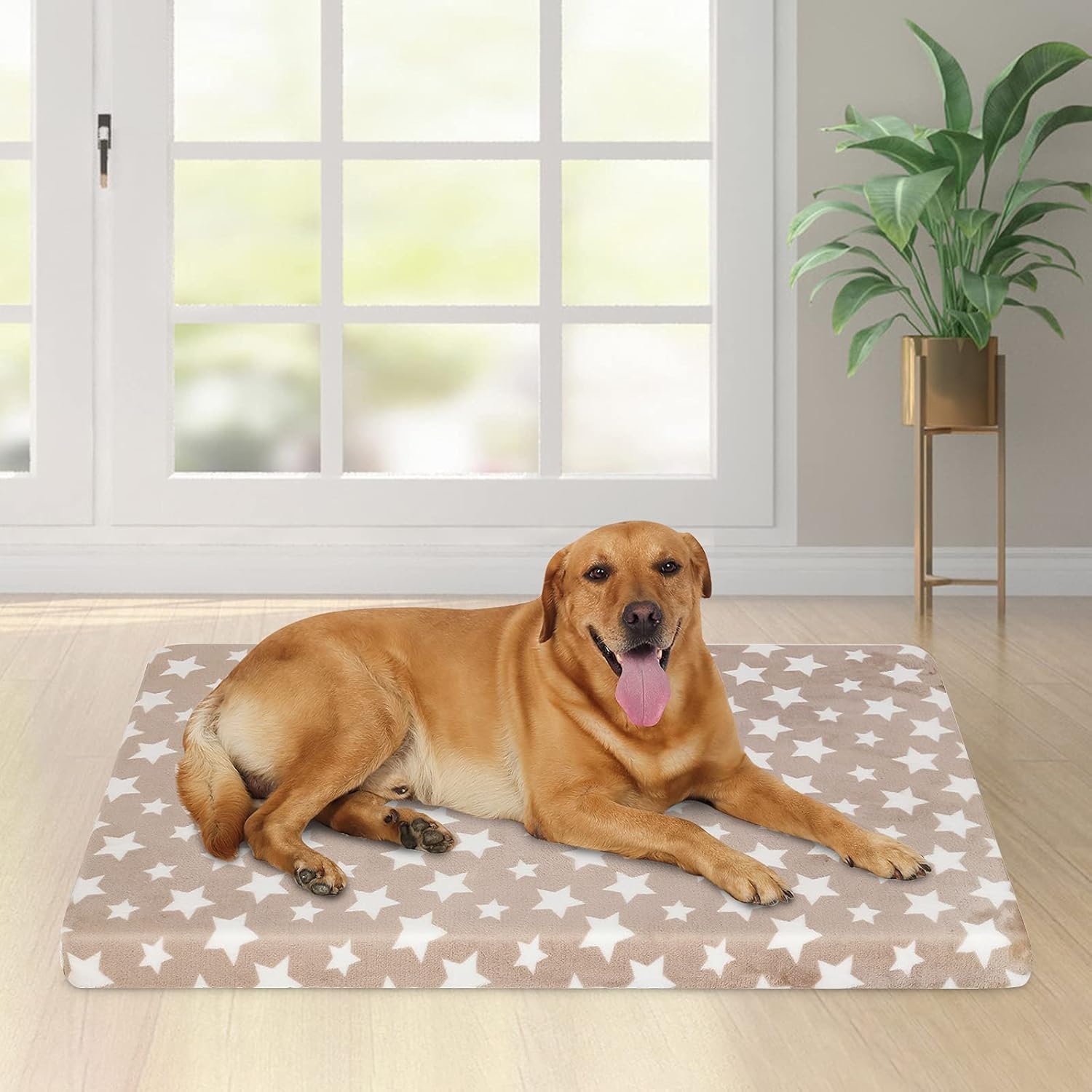 EMPSIGN Waterproof Dog Bed Crate Mat, Dog Bed Mat Reversible (Warm & Cool), Removable Washable Cover, Waterproof Liner & High Density Foam, Pet Bed Mattress for Small to XX-Large Dogs, Beige, Star : Pet Supplies