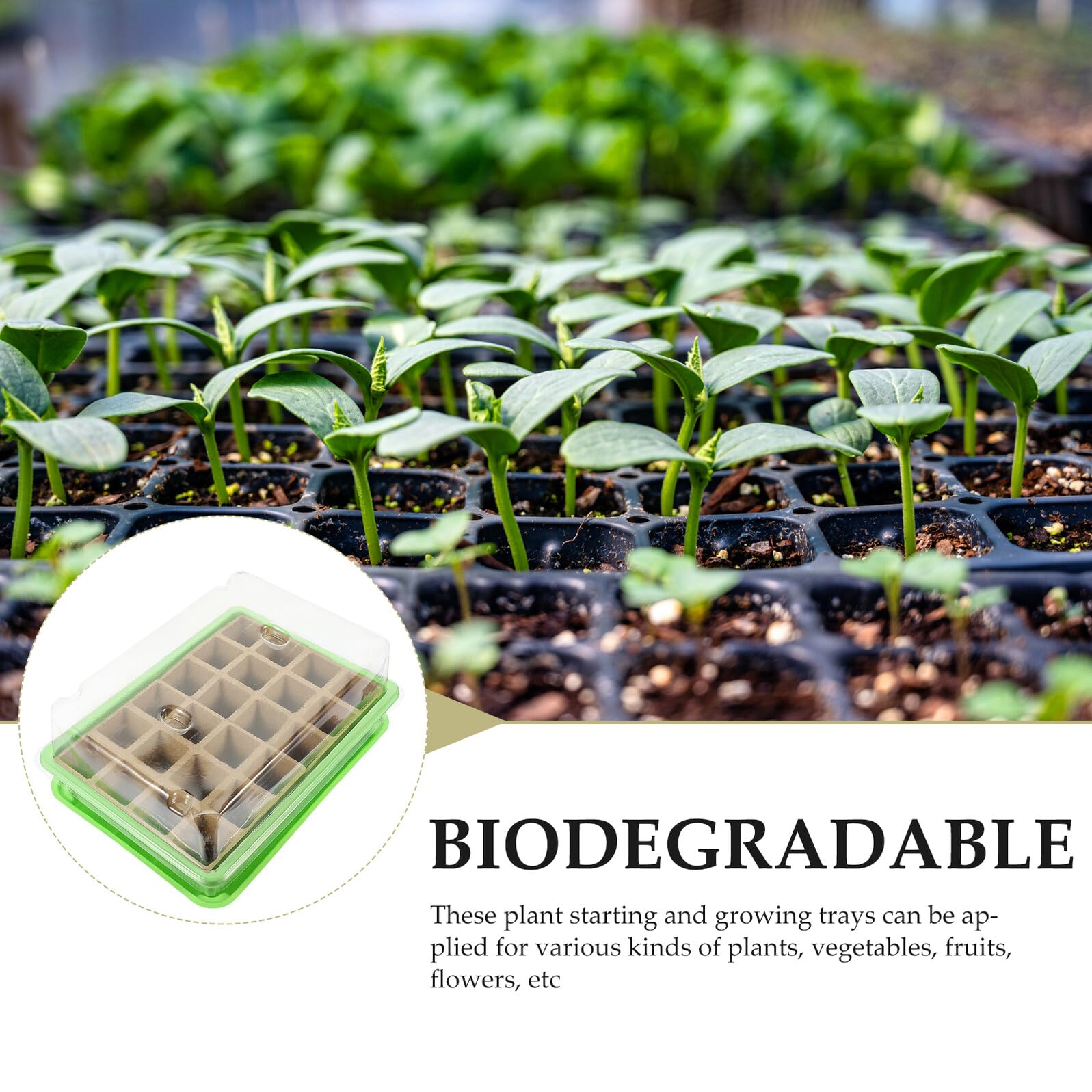 2 Ensembles Plateaux de Germination pour Semis Cases et Cases Bacs de Culture pour Démarrage de Graines Germoirs pour Plantes Intérieur et Extérieur Plateau de Plantation et Lisse