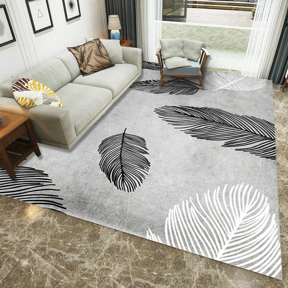 Buy MOXIC Soft Abstract Art Living Room Area Rugs Rectangular Children Crawling Bedroom Rug Fleece Anti-Slip Carpets Nordic Feather Modern Home Decor Mats Indoor Outdoor Runners Nursery 2.6' X 6.5' — BookShops.in