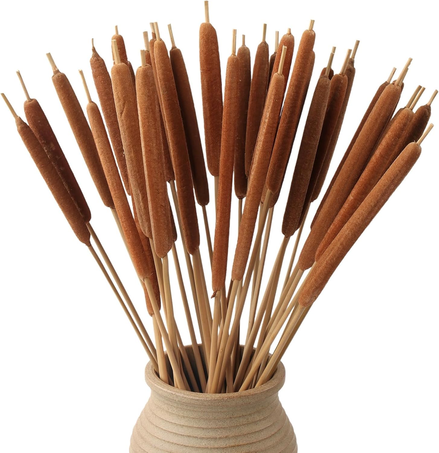 MIHUAGE Dried Natural Cattails 20 Pack - 17 Inch Jumbo for DIY Floral Arrangements, Home Office Decor & Crafts