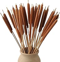 MIHUAGE Dried Natural Cattails 20 Pack - 17 Inch Jumbo for DIY Floral Arrangements, Home Office Decor & Crafts