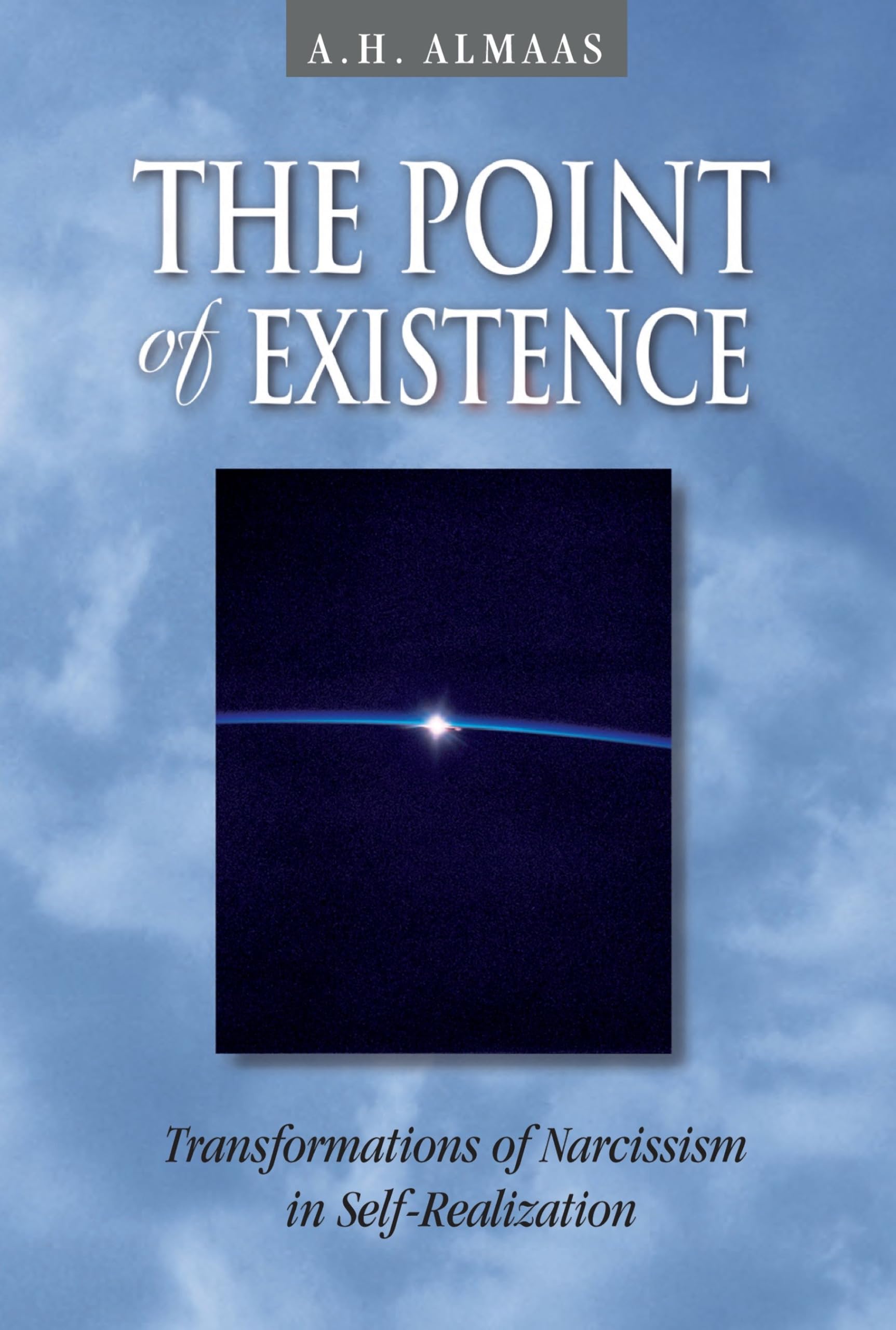The Point of Existence: Transformations of Narcissism in Self-Realization (Diamond Mind): 3 (Diamond Mind Series)