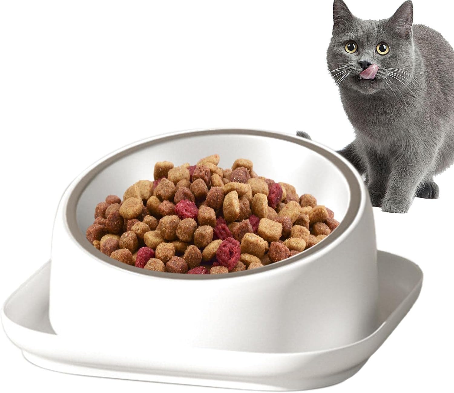 Raised Cat Bowl Mess Free 15 Degree Slanted Bowl For Dogs And Cats