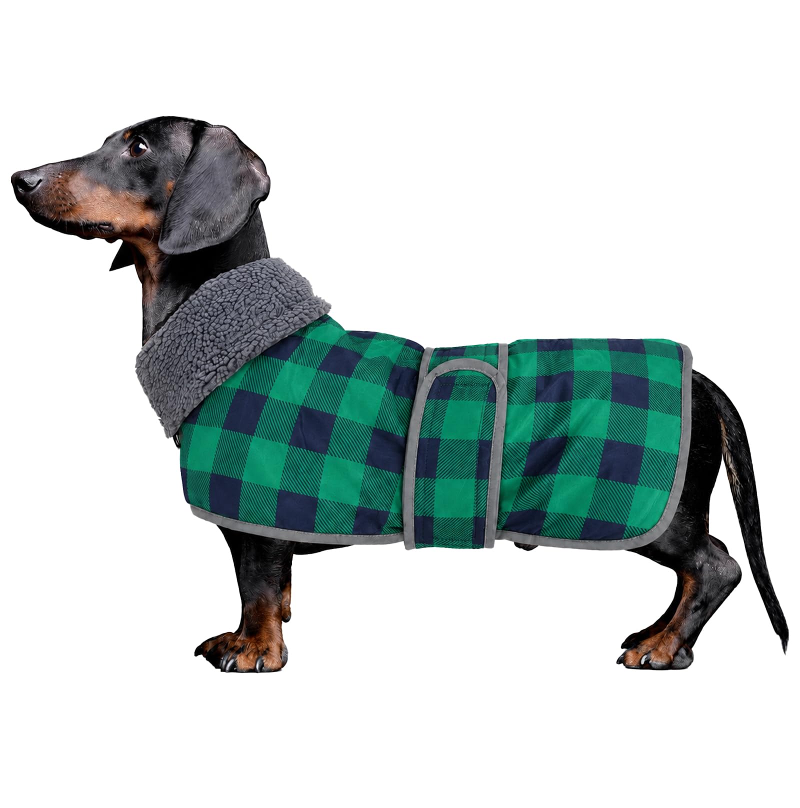 Geyecete dachshund jumper sausage dog coat grid dachshund waterproof coat