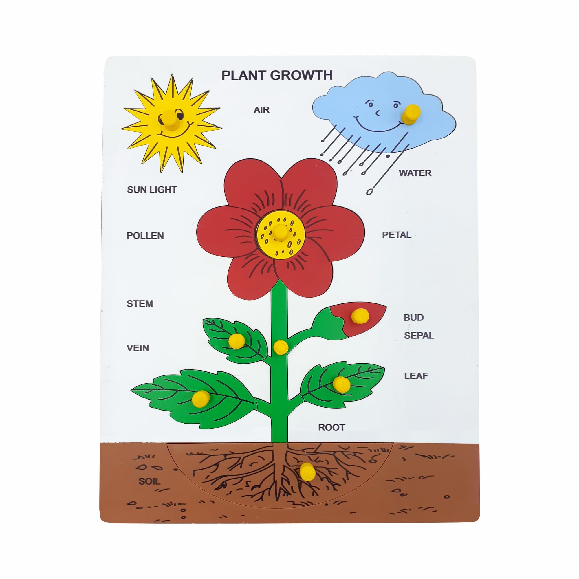 Tantrums Preschool Wooden Plant Growth Puzzle Set with Knobs for Learning Life Cycle of Plant | Education Puzzle Learning Aid for Kids I Multicolour Plant Growth Puzzle (B09Q18GM8Y) Amazon Price History, Amazon Price Tracker