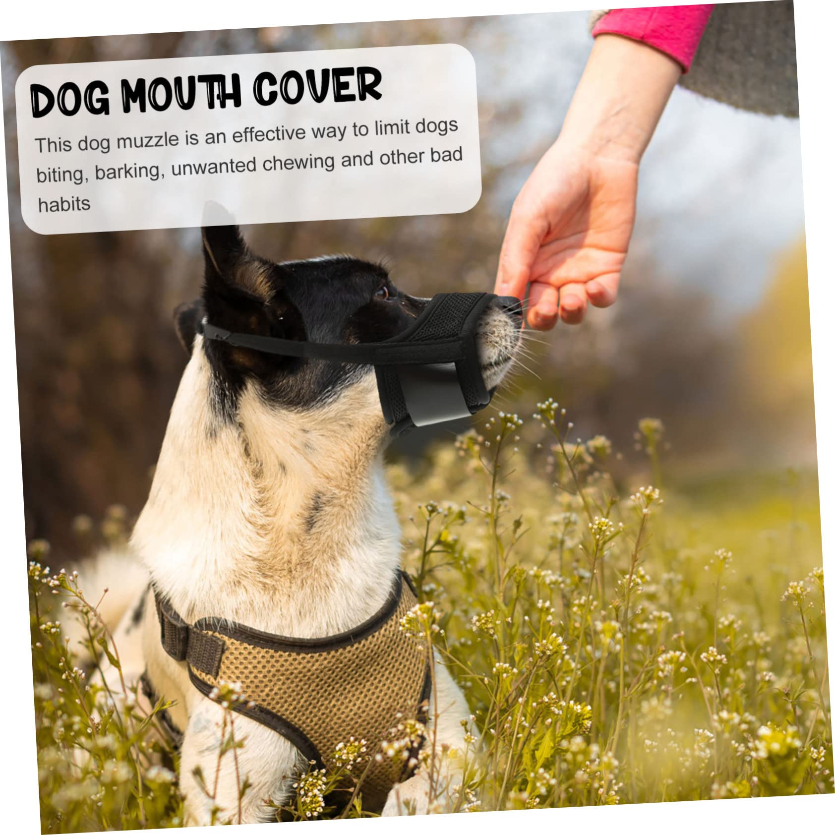BESPORTBLE 5pièces Muselière Respirante pour Chien Ajustable Et Confortable Protège Morsures Aboiements pour Petits Et Moyens Chiens