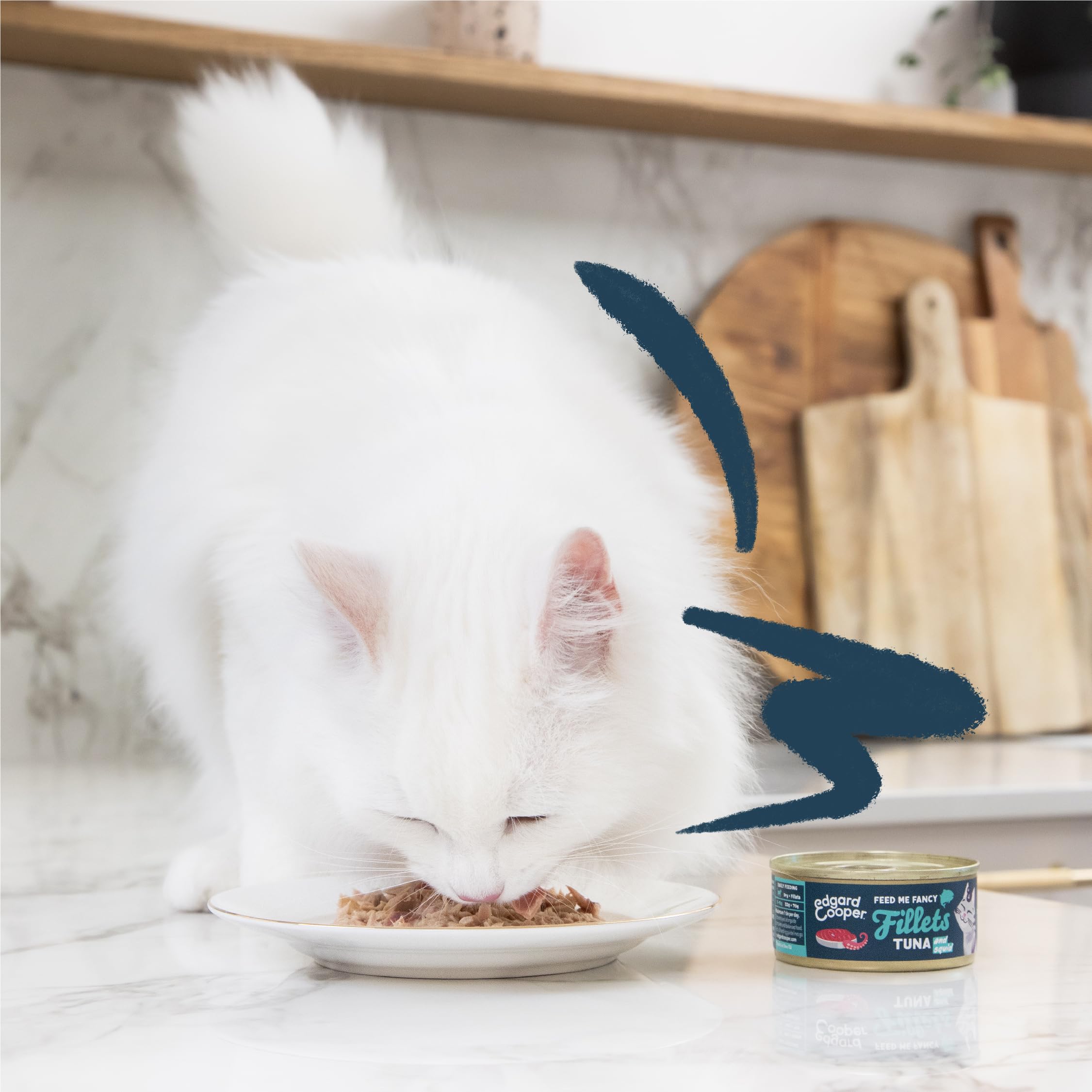 Edgard & Cooper Nassfutter für Katzen, Erwachsene, (Thunfisch & Tintenfisch, 70 g x 24), Filets für Katzen, sterilisiertes und aktives Katzenfutter, getreidefrei, natürliche Zutaten, frisches Fleisch,