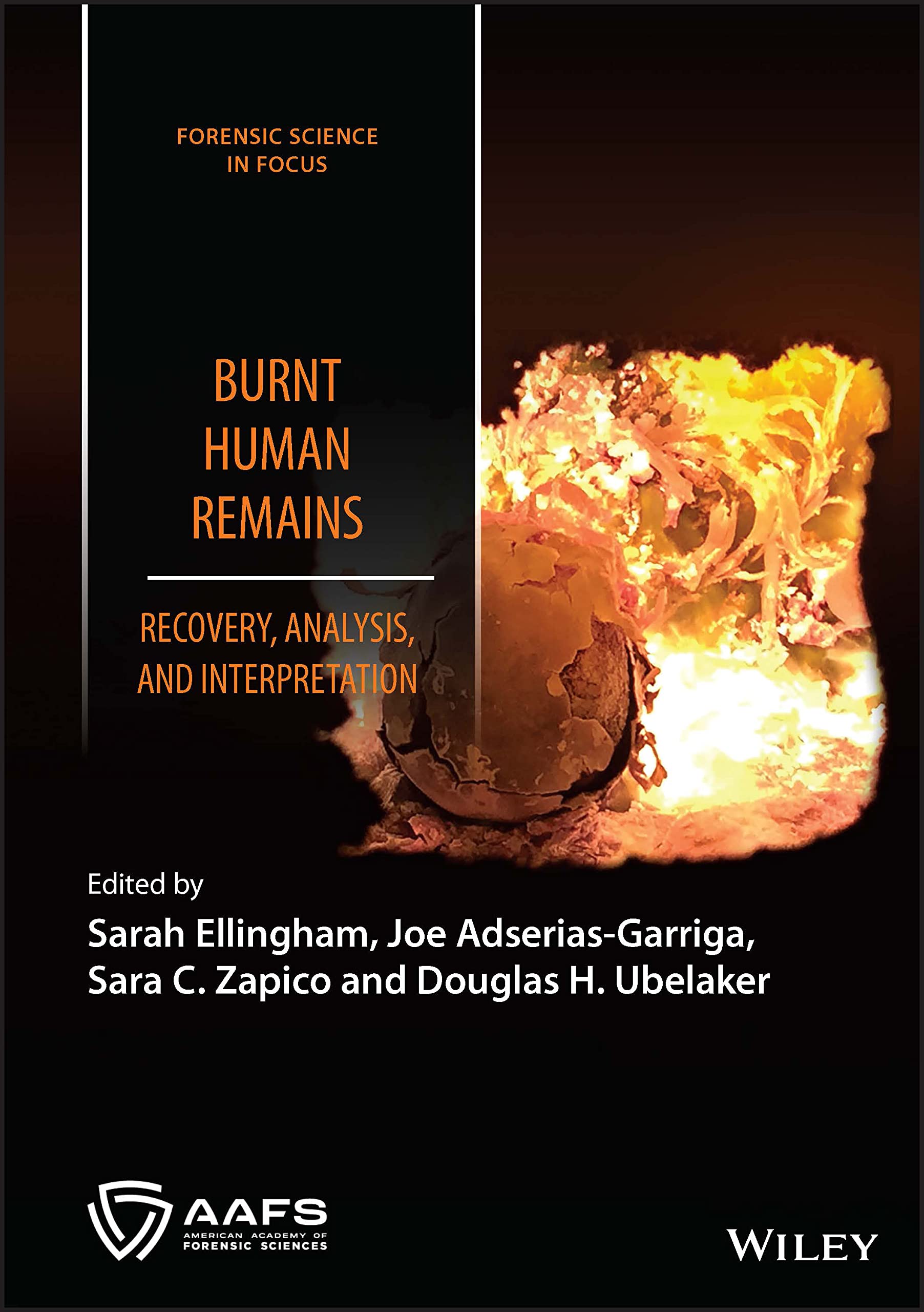 Burnt Human Remains by Sarah Ellingham, Joe Adserias-Garriga,... - 9781119682608