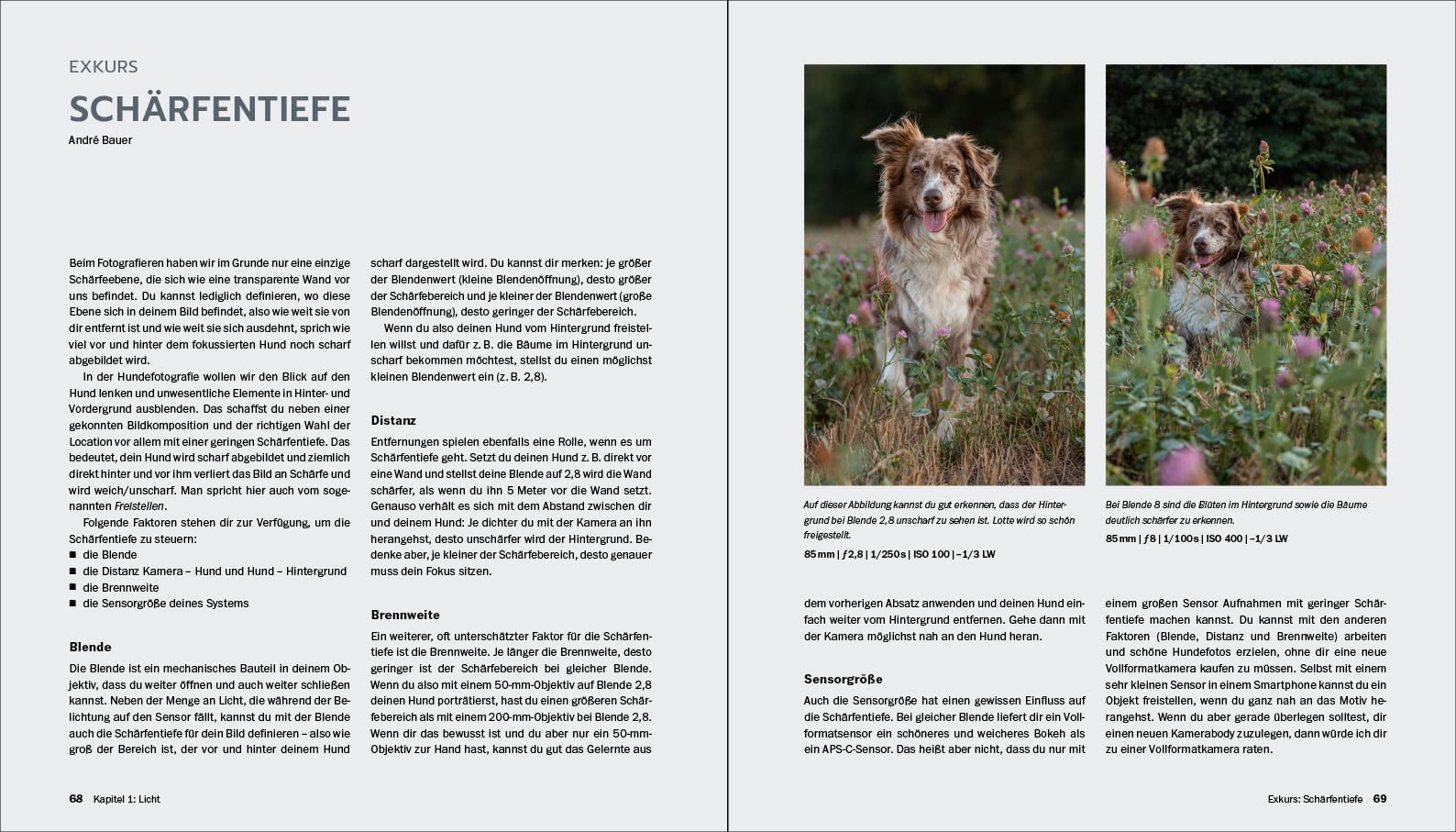 Hundefotografie: Fellnasen liebevoll in Szene setzen. So gelingen Hundeporträts mit Ausdruck und Witz – draußen und im Studio. 350 Seiten Profi-Wissen