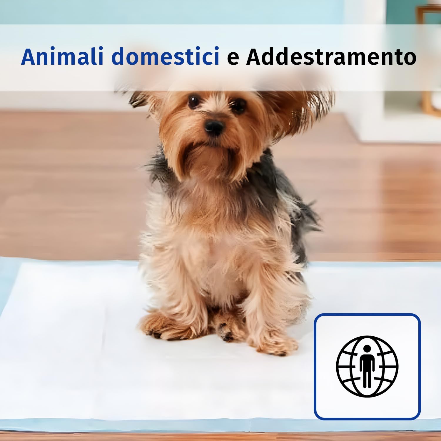 Sofex Traversine Assorbenti Usa e Getta 40×60 cm, 50 Pezzi – 5 Strati, Impermeabili e ad Alta Assorbenza, Protezione per Letto e Assistenza in Caso di Incontinenza
