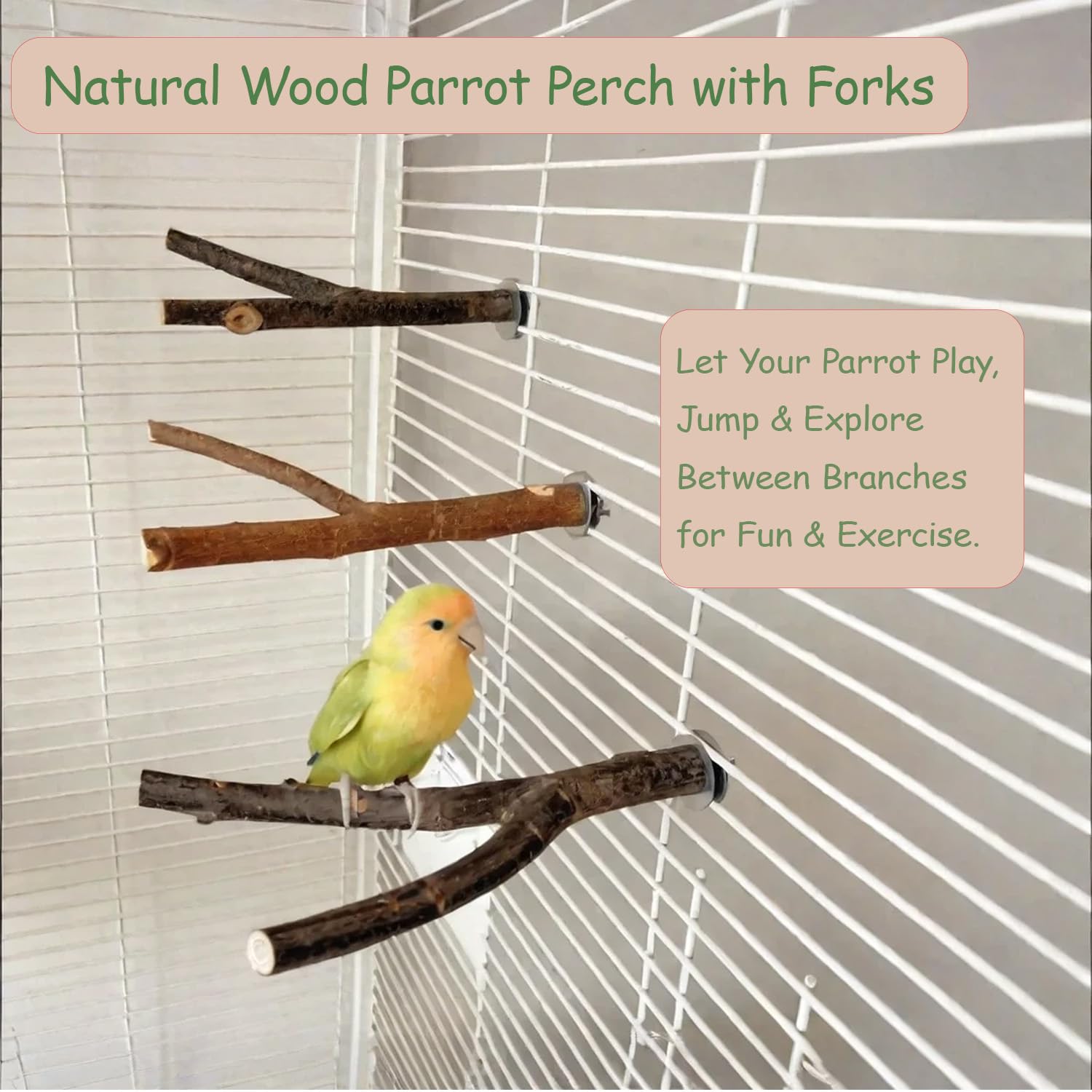4 Pack Bird Perches for Cage with Natural Wood, ROOJUNE Bird Cage Accessories Bird Perch Platform for Small Medium Parakeets Parrots Conures Cockatiels Finches Lovebirds - image 3