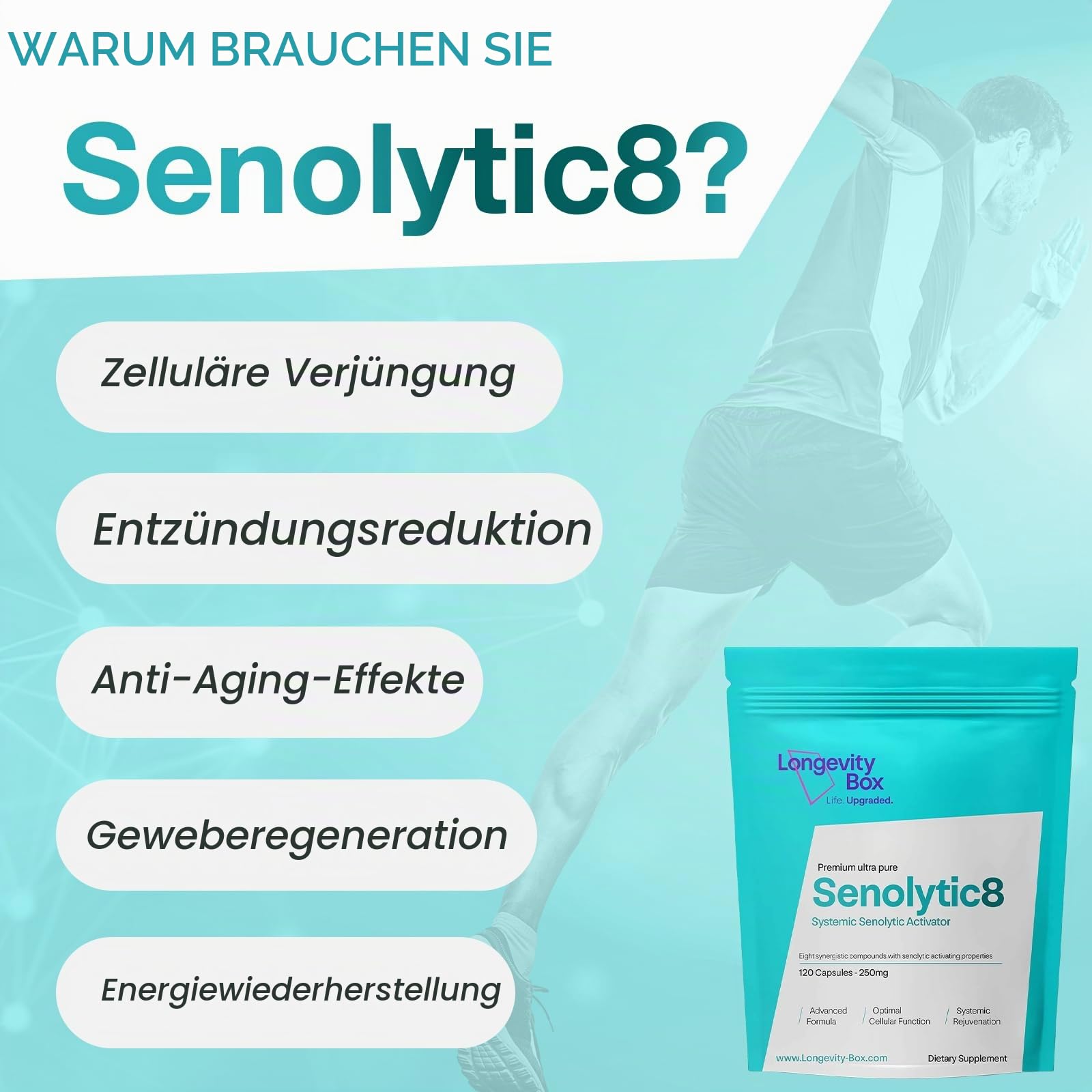 Senolytic-8-Komplex mit Fisetin, Quercetin, NAC, 120 Kapseln | Nahrungsergänzung: Senolytic 8 mit Fisetin, Quercetin und NAC, 120 Kapseln, rein; Senolytic 8 mit Fisetin, Quercetin und NAC