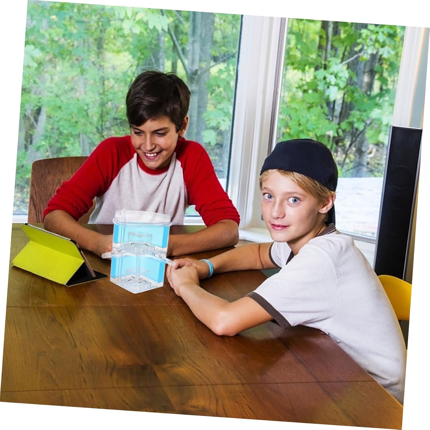 Ant Observe Box Double-Layer Ant Nest for Science Experiments Spacious Villa Design for Boys and Girls Educational Plastic