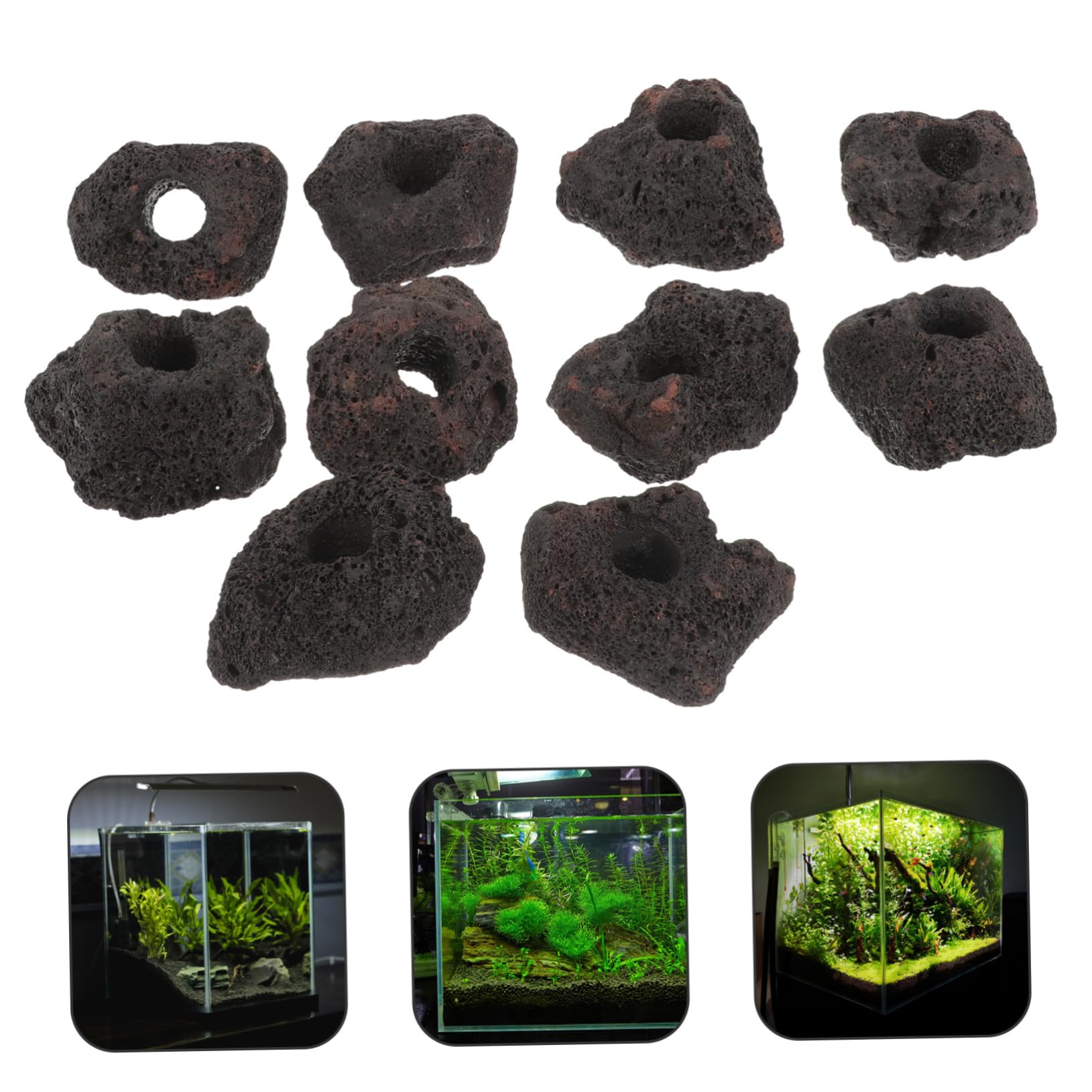Yardwe 10piezas Anillos Fijación Rocas Volcánicas Unidades Decoración Peceras Acuáticas
