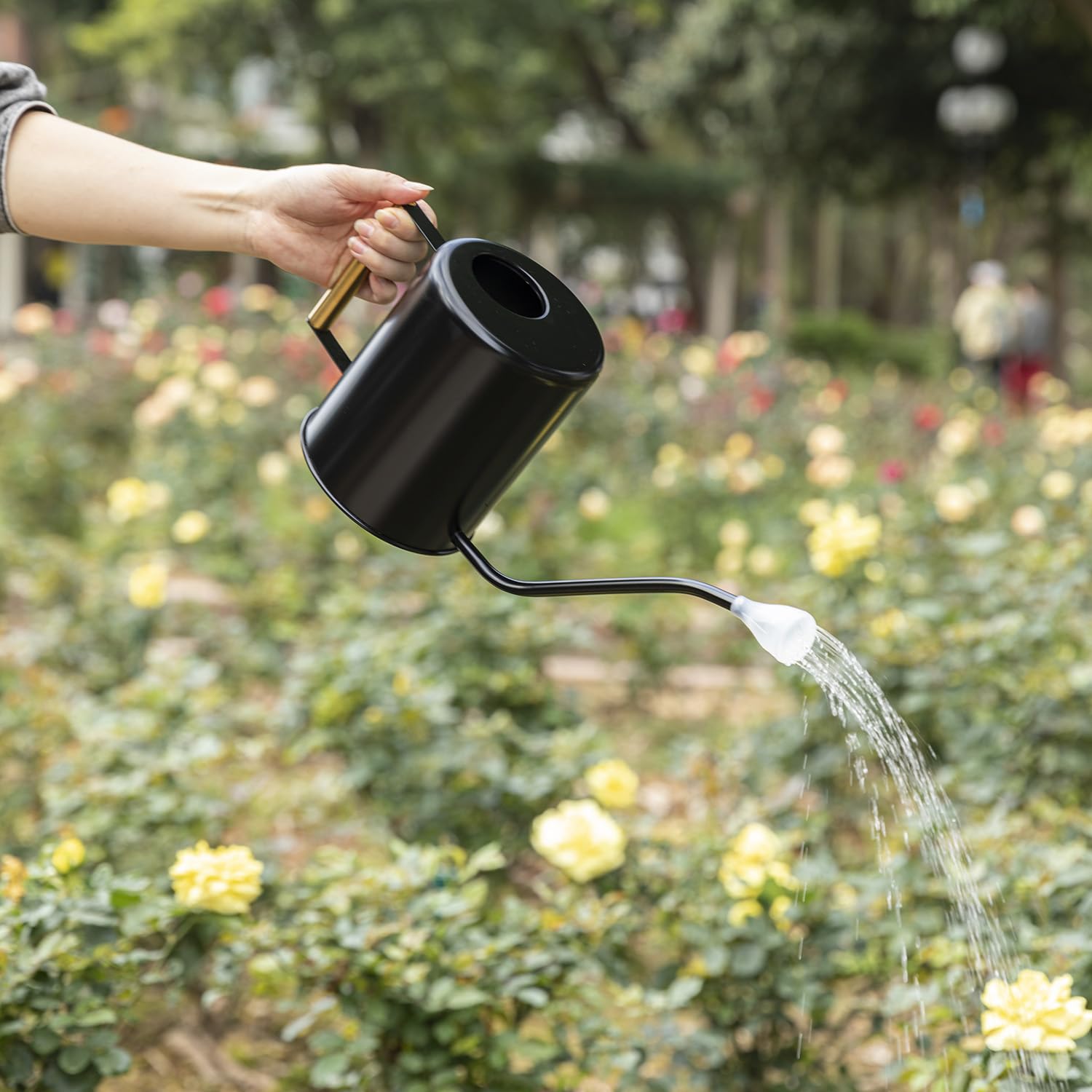 L&H Unico Annaffiatoio in acciaio inox da 1,94 l, beccuccio lungo per irrigazione di piante da interno o giardinaggio all'aperto, con 2 beccucci rimovibili per fiori, nero
