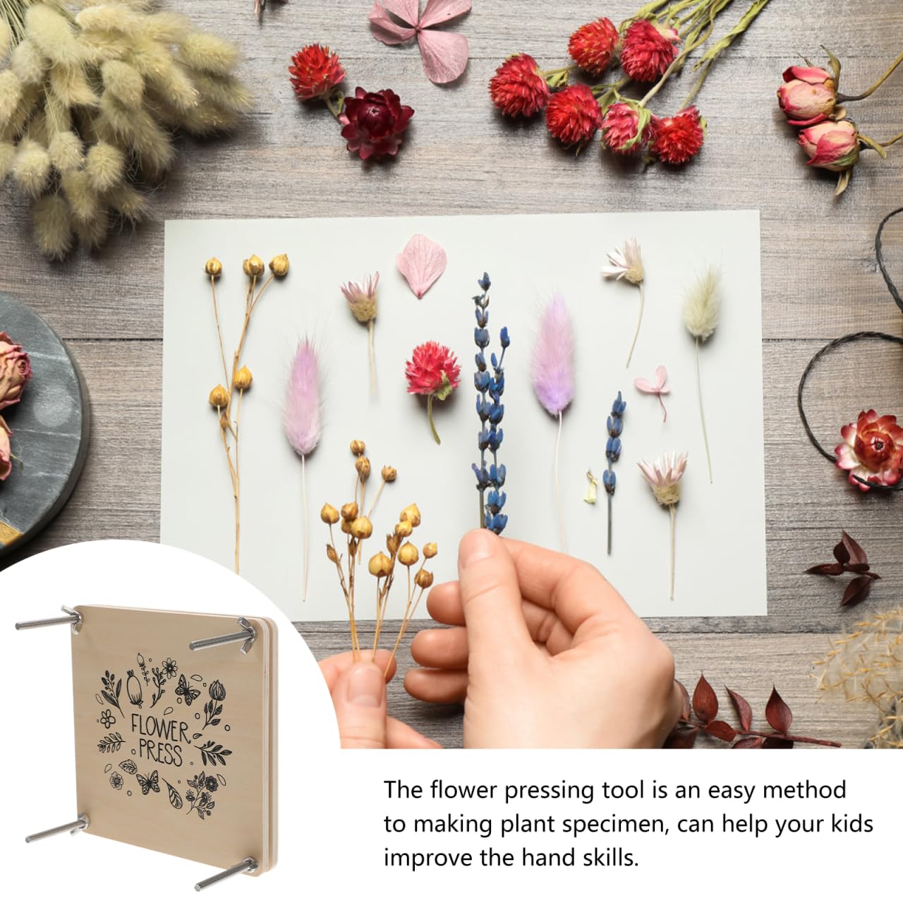 Didiseaon Kit De Prensa De Flores Y Hojas Herramienta Para Prensar Plantas Secado Rápido Para Manualidades Diy Decoración Y Proyectos Creativos