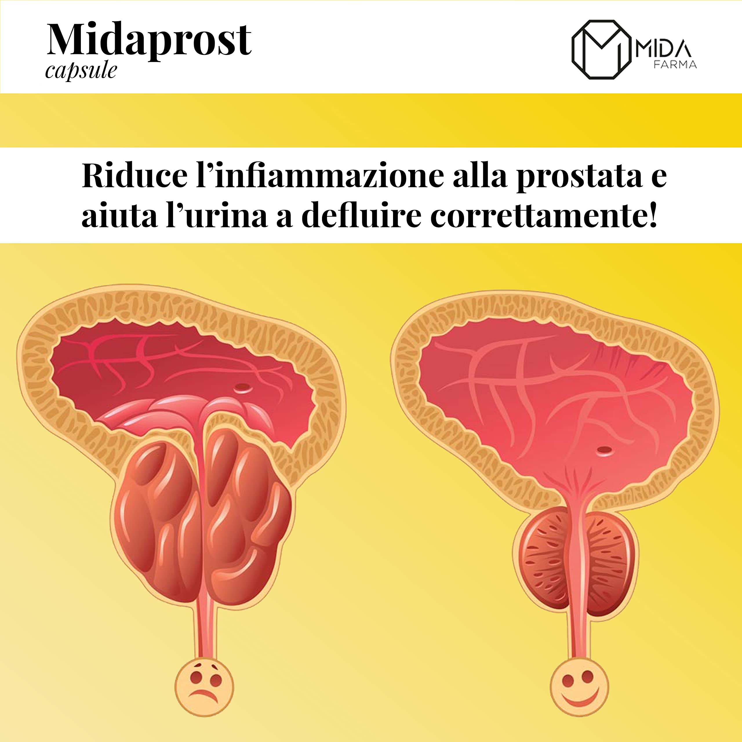 MIDAPROST Capsule | Serenoa Repens (Saw Palmetto) 320 mg, Tè Verde e Magnesio | Per trattamento e prevenzione di Prostata Ingrossata, Ipertrofia Prostatica Benigna e Prostatite | 30 Capsule