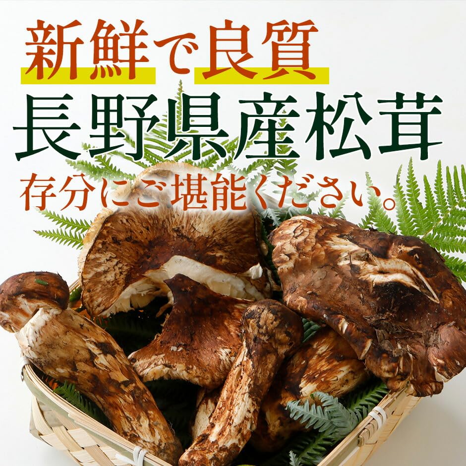 国産松茸 長野県産　(一部訳あり) 長野県産 松茸(訳あり) 【公式通販】