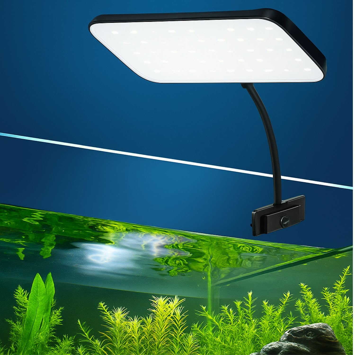 RS S8-8W Aquarium Clip-On LED Light – Flat Nano Full Spectrum Lamp for Planted Tanks | Vivid Color Rendering | Fits Glass up to 12mm | Ideal for 20-30 cm Tank | Fresh & Saltwater Fish Tank-image-5