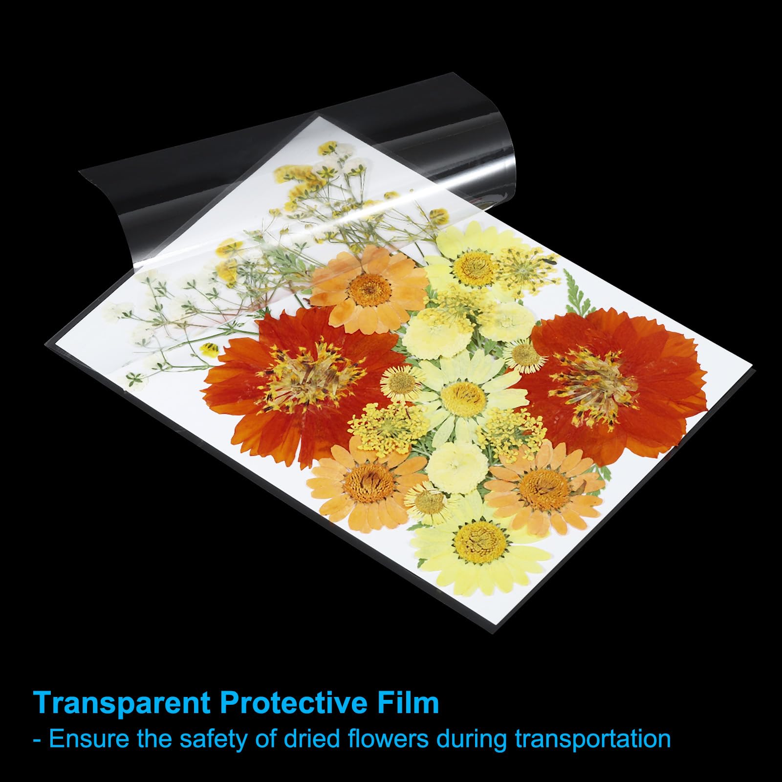 PATIKIL Dried Pressed Flowers - Image 3