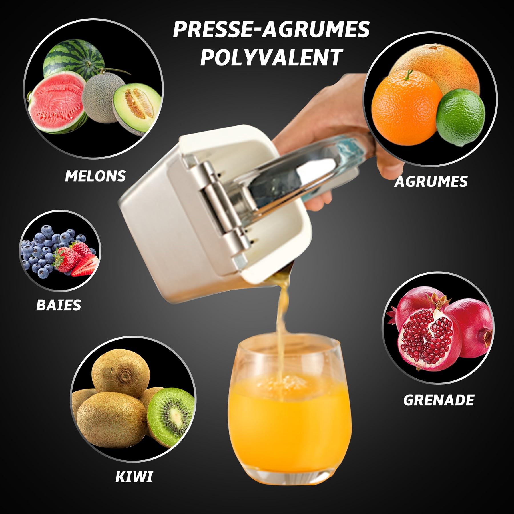 Gourmet Easy Presse-Agrumes Manuel Inox 304, Presse-Citron & Citron Vert