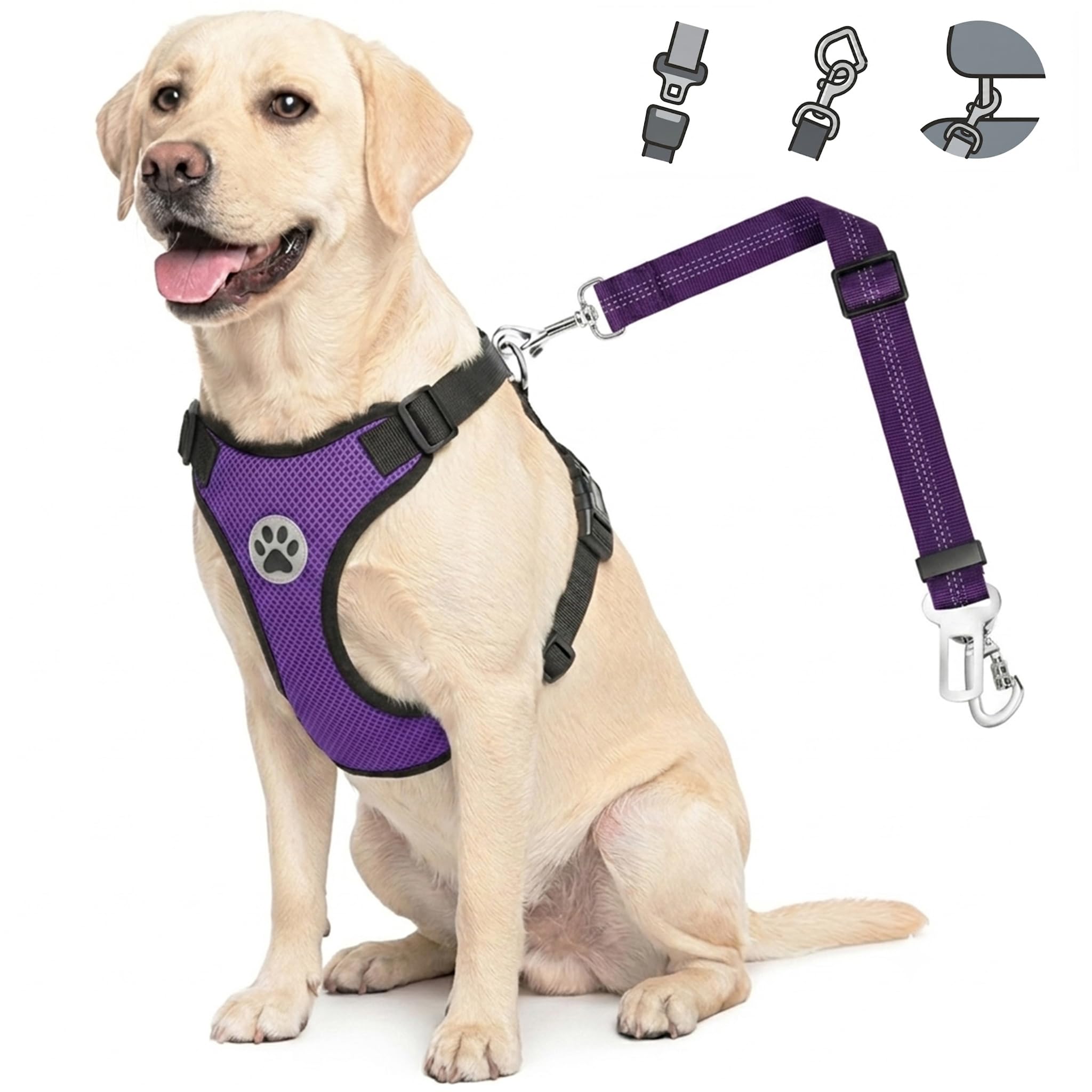 Lukovee Dog Seat Belt for Car, Adjustable Dog Car Harness for Large Medium Small Dogs, Soft Padded & Breathable Mesh Dog Seatbelt with Car Vehicle Connector Strap (Purple,Medium)