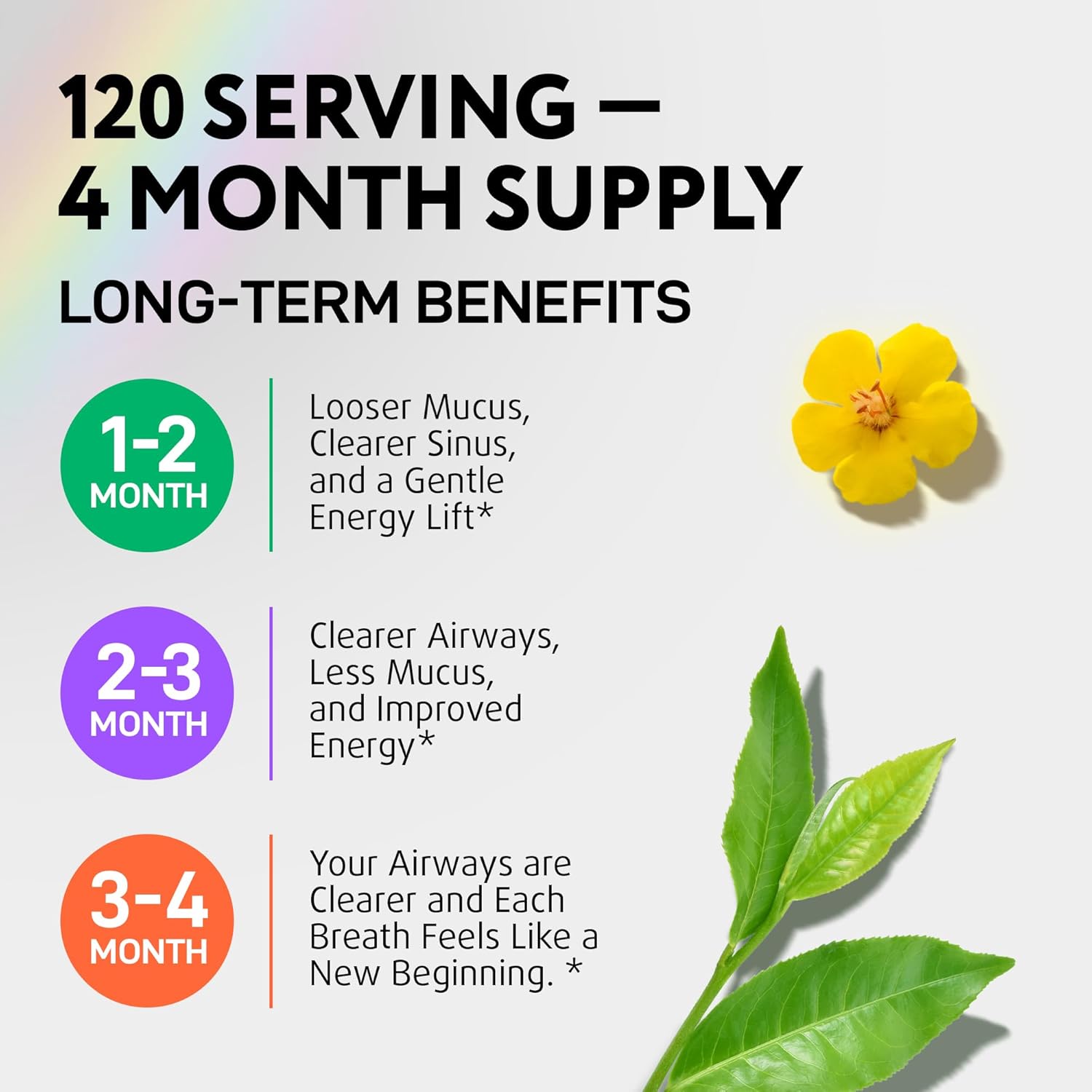 IQ BIOLOGY Mullein Drops for Lungs - USDA Organic Mullein Supplement with Arjuna - Made in USA - Lung Detox for Smokers, Bronchial Cleanse with for Respiratory to Clear Lungs, Break Up Mucus*, 4 oz