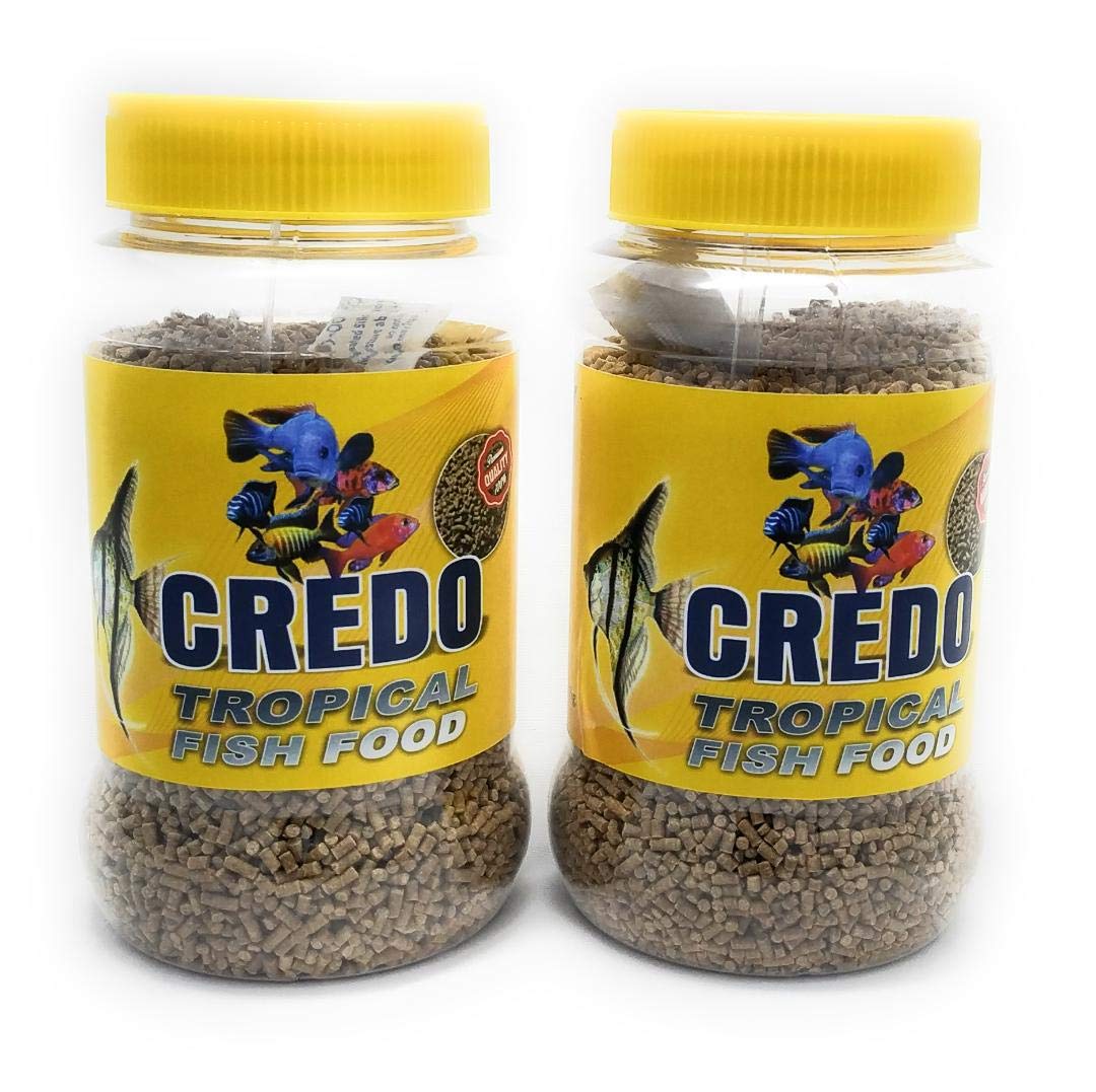 Ecella Credo Sinking Fish Food 400 gm for Aquarium Ornamental & Tropical Fishes - Pack of 2(200gm x 2 Bottles) (B082YCSGWF) Amazon Price History, Amazon Price Tracker