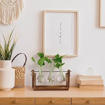 Propagation Stations - Plant Propagation Station For Plants - Metal & Glass Propagation Vase - Home Kitchen Office Decor - 4 Test Tube Plant Holder - Plant Starter Glass Tubes