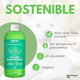 Ver la foto 6