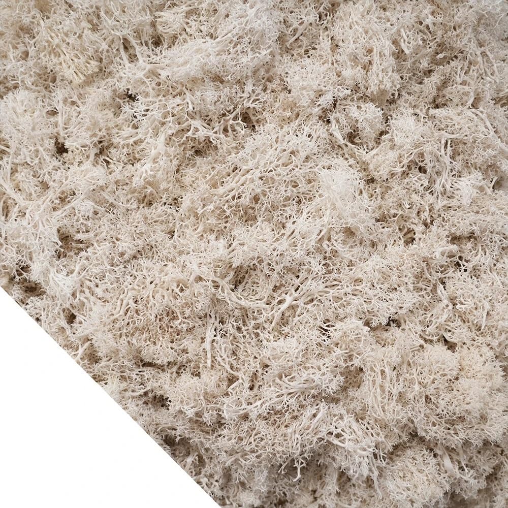 HZLXF1 Artificial Green Plants Eternal Moss,DIY Crafts Grass Home Room Decor(Beige,50g)