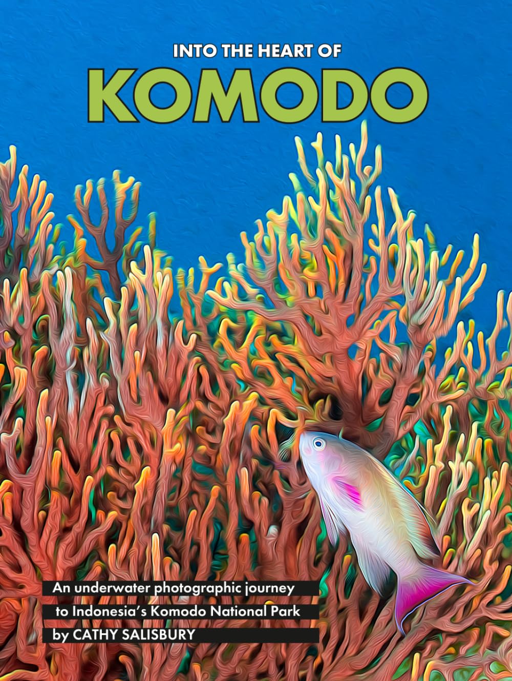 Into the Heart of KOMODO: An underwater photographic journey to Indonesia's Komodo National Park