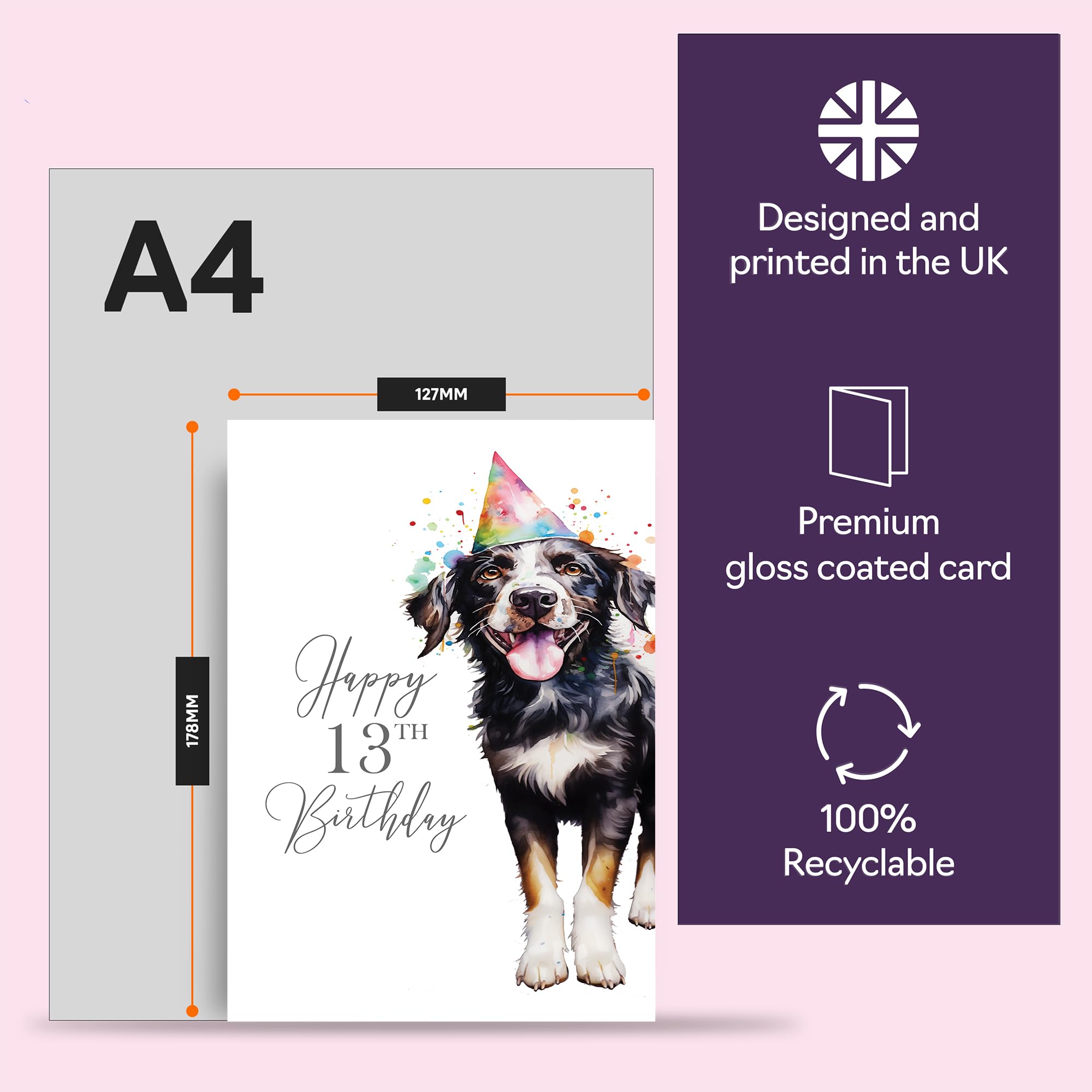Tarjeta Cumpleaños 13 Años - Diseño Perro Salchicha - Tamaño 145x145 Mm - Fabricada En UK