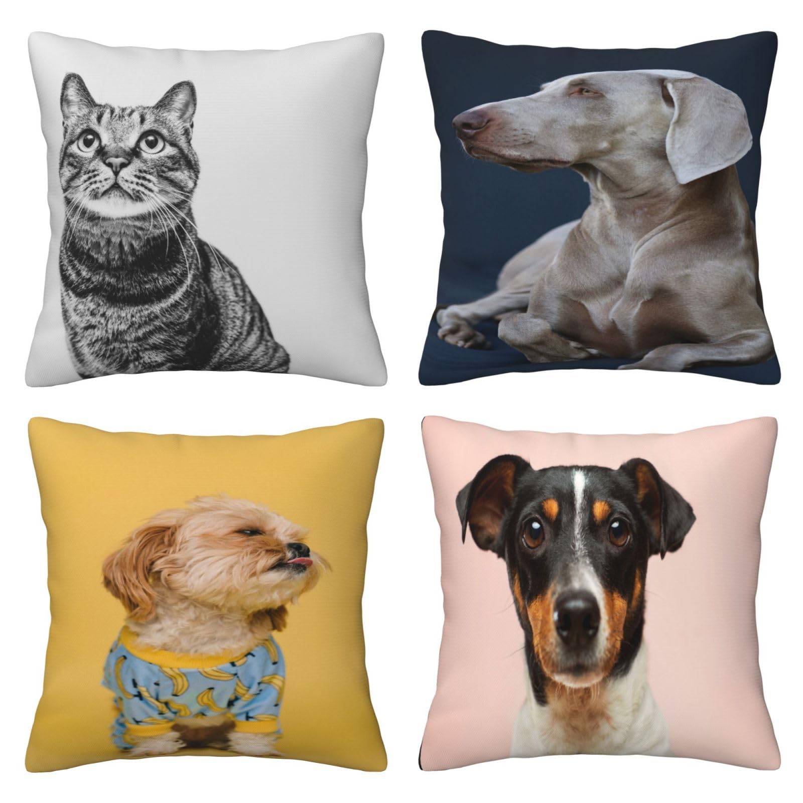 Fundas de Cojines Juego de 4 60x60cm Funda Cojin Felpa Corto Animales Cojines Decoracion Perros Fundas de Cojín Cuadradas Impresión Doble Cara con Cremallera Oculta,para Sofá Decoración Hogar24x24in