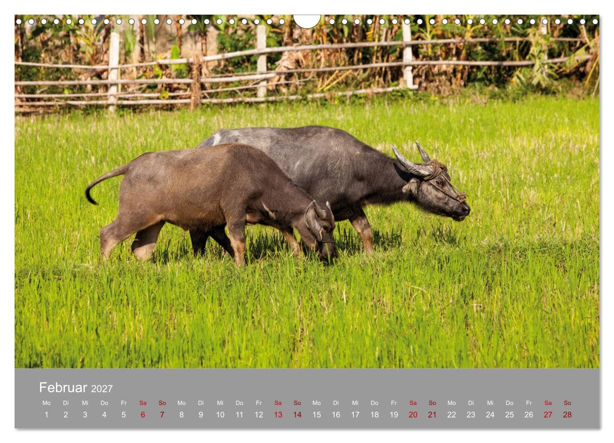 CALVENDO - Eindrücke von VIETNAM 2027 by Till Brühne 2027 (Wandkalender 2027 DIN A3 quer), Monatskalender: Dieser Kalender zeigt interessante Eindrücke des Landes Vietnam.