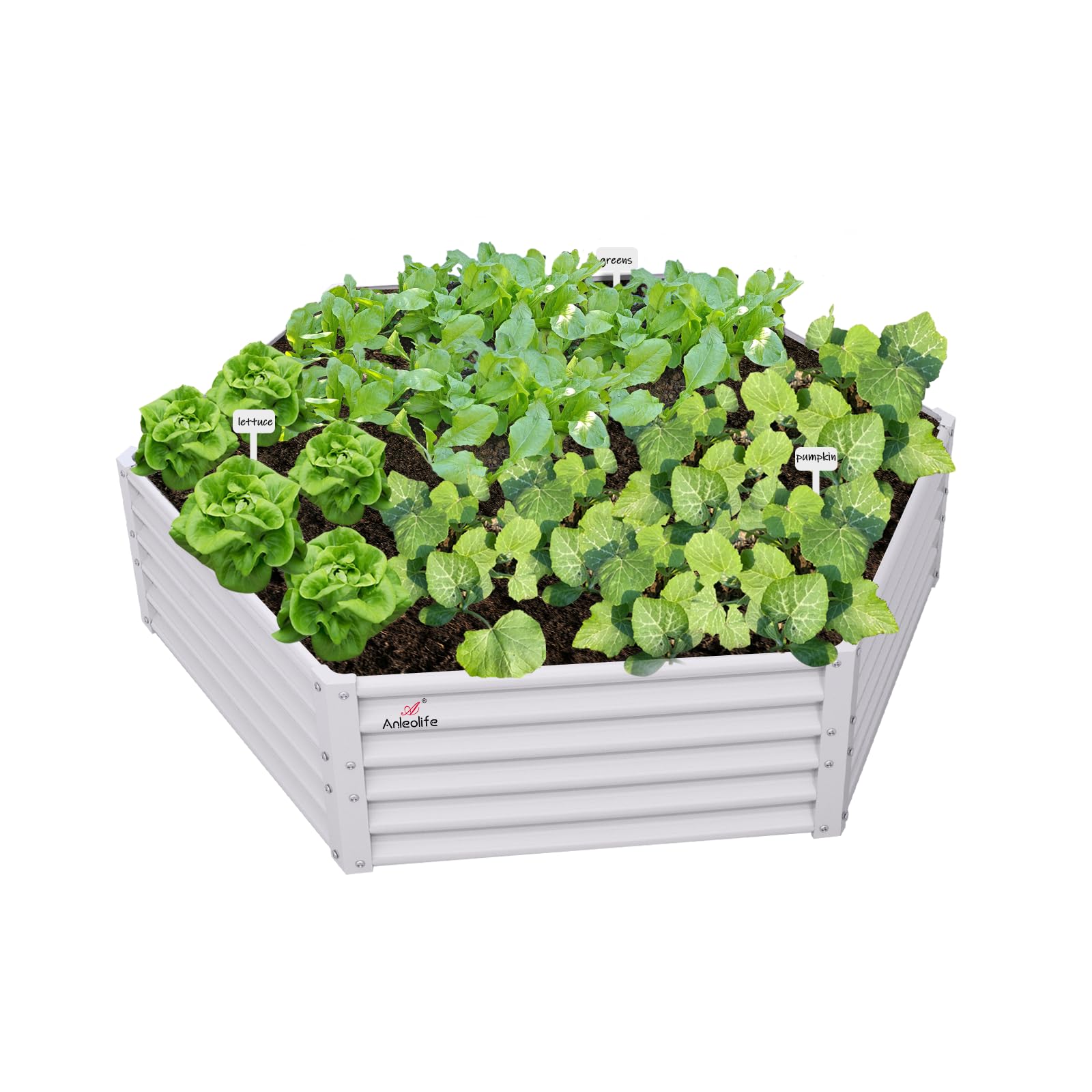 A ANLEOLIFE Hexagon Metal Raised Garden Bed