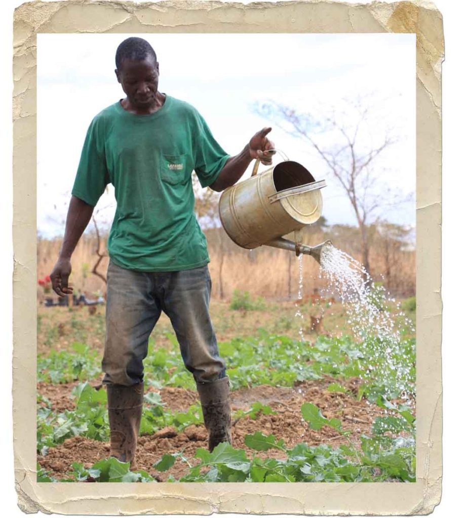 Boiled Peanuts for a Beautiful Purpose! - 3 Cans of Cajun Boiled Peanuts and 3 Cans of Regular Boiled Peanuts in a Can! Proceeds Help Eliminate Hunger in Zambia! Details in Package.