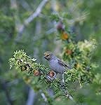 Review Image by Dudderz