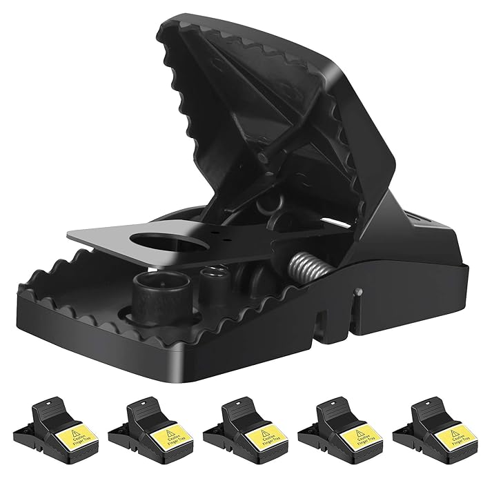 Buy Trisiki 6 Pack Professional Mouse Trap, Rat Trap for Various Sizes